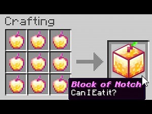 Minecraft, But There Are Custom Blocks...