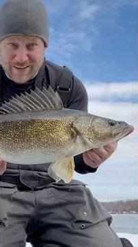GIANT WALLEYE Ice Fishing with an Underwater Camera!