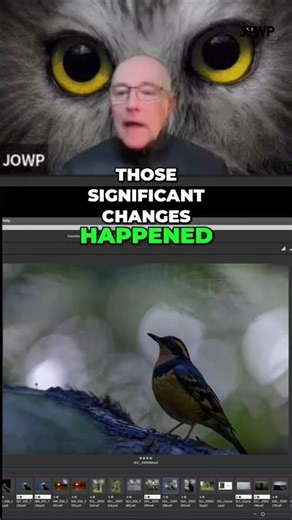 Photoshop Course Updates Stay Relevant for Years!