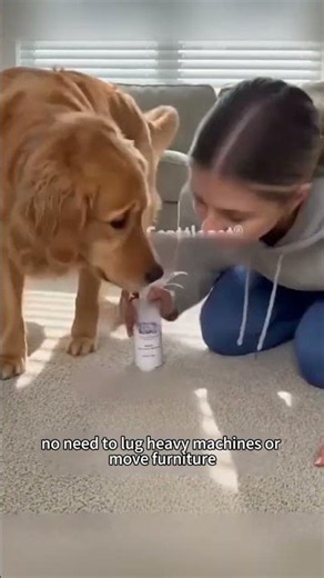 Powerful Carpet Stain Remover
