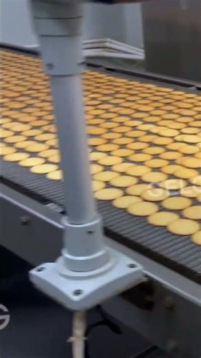 Fully Automatic Biscuit Making Machine