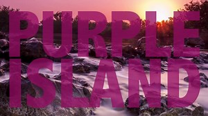 Purple Island is one of Qatar's best kept natural wonders. It's a perfect place for picnics and family outings - with lush mangrove forests that are home to a wide variety of fish, crabs, shellfish, and birds. Entrance to the island is FREE and it is easily acessible by car. Have you taken your family on a Purple Island adventure yet? Visit the QL Site for detailed directions: http://www.qatarliving.com/forum/welcome-qatar/posts/video-mangrove-forest-desert | Qatar Living