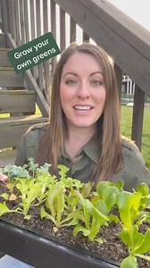 7.1K views · 282 reactions | Greens are one of the most versatile plants you can grow. They adapt well to traditional gardens, containers, hydroponically, as microgreens…so many ways! #GrowYourOwnFood #greens #gardening #vegetablegarden | From Dream to Seed | Facebook
