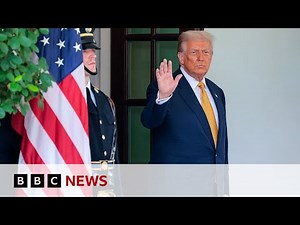 How have six months of US President Donald Trump shaken up the global economy? | BBC News