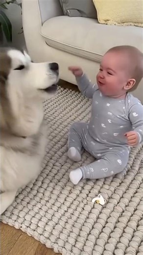 Baby Can’t Stop Laughing at Puppy | Funniest Baby and Dog Reaction!