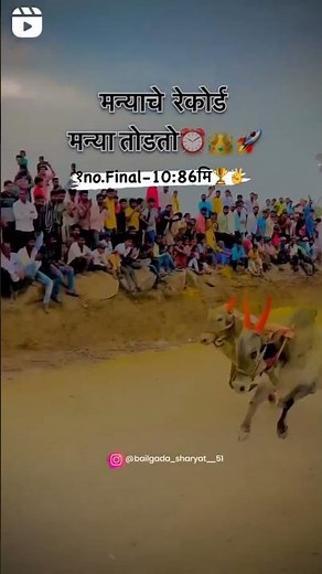 bailgada sharyat king manya bailgada sharyat premi