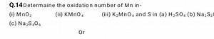 Q. 14 Determaine the oxidation number of Mn in-(i) MnO2​(ii) ... | Filo
