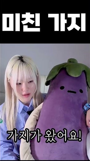 대왕가지를 선물 당했습니다 (?)