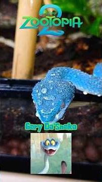 See how many obscure animals from Zootopia 2 you recognize!🥰🫶 #zootopia2 #zootopia #wildehopps