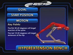 Hyper extension exercise for the low back