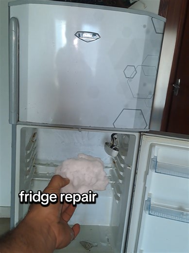 Expert Fridge and AC Repair Tips