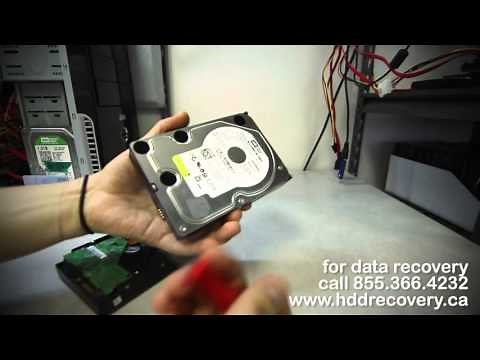 data recovery: clicking western digital WD5000AAKS