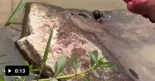 Basic instincts lol. - Video