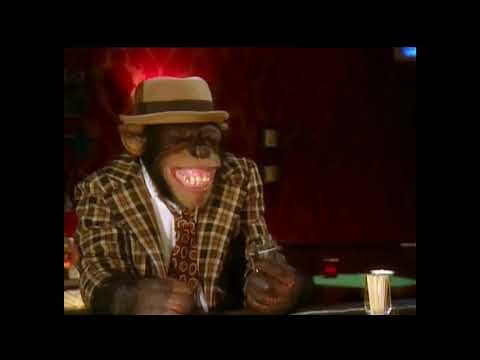 Penguin Joke At The Monkey Bar