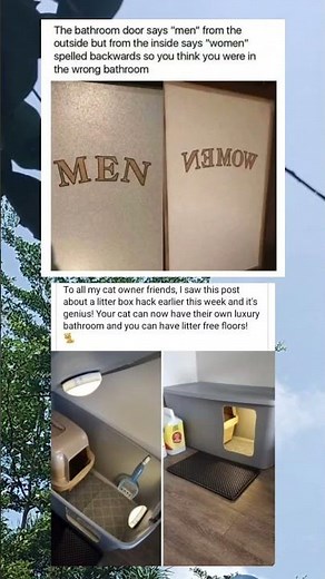 A Smart Cat Litter Box Setup That Keeps Floors Clean 🐱✨