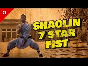 Shaolin 7 Star Fist 七星拳 [Qīxīng Quán] | OLDEST Shaolin Kung Fu Form | Wushu Training