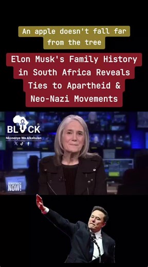 Elon Musk's Family and Their Apartheid Connections