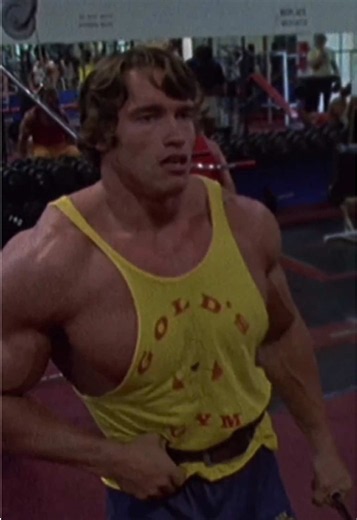 It’s perfectly fine to go over your head on these. #lateralraises #shoulderworkout #fitness #bodybuilding #gym