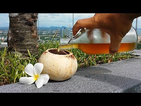 COCONUT WINE how to make at home