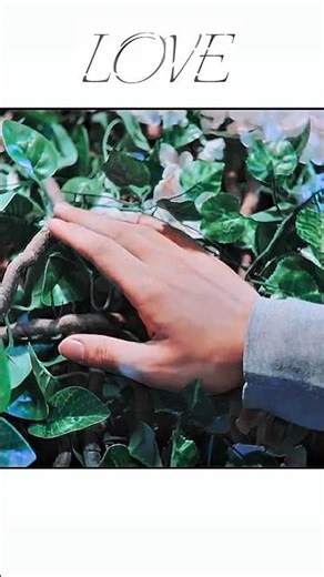 Born in the tree🍃 | Rattan | YOUKU Shorts