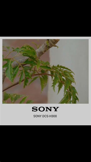 test sony dcs-h300