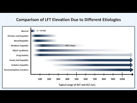 Interpretation of LFTs (Liver Function Tests) • Video • MEDtube.net