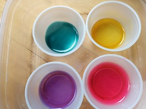 Natural pH indicators | Looking at a purple cabbage indicator lab