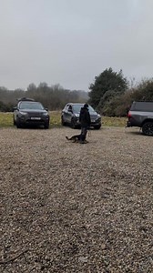 1.8K views · 77 reactions | Back to Basics In security dog handling,...