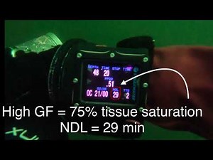 How to change Gradient Factors on a Shearwater dive computer & what are GFs