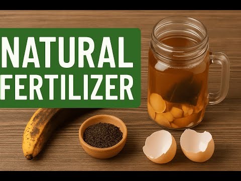 DIY Natural Fertilizer from Kitchen Scraps 🌿 | Easy At-Home Recipe