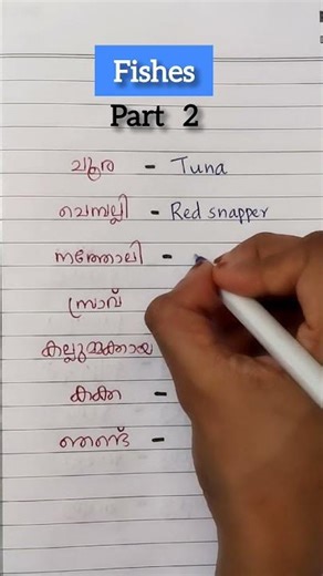 Here is the part 2 of fish names in English #fishnames #viralshorts