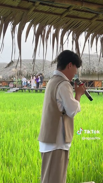 Bắt Tone Trên Đọt Cây: Khám Phá Âm Nhạc Miền Tây