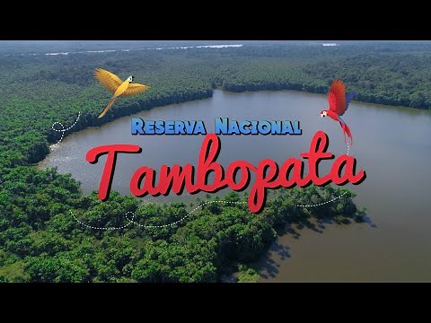 5 DATOS SOBRE LA RESERVA NACIONAL TAMBOPATA