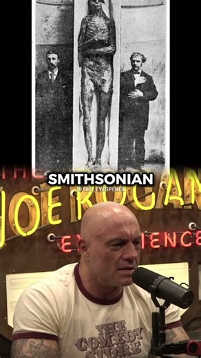 Were Giant Skeletons Really Discovered Across North America? Joe Rogan and Timothy Alberino