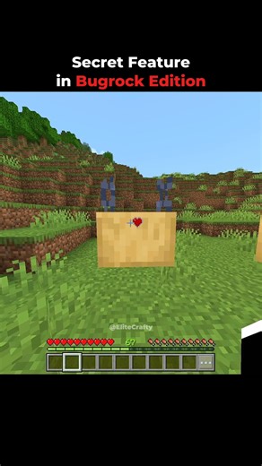 Minecraft Secret Feature Moment