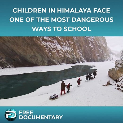 Twice a year the forbidding journey to the boarding school is necessary. Children in the Himalayas must go through one of the most dangerous journeys to attend school. #education #dangerouswaystoschool #himalayas #india #school #children #dangerous #documentary | Free Documentary