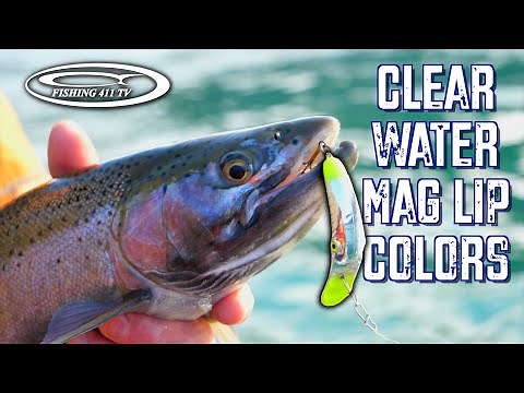 Favorite Mag Lip Colors for Clear Water Steelies