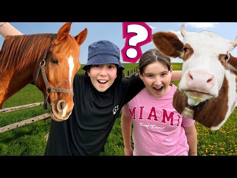 HORSES Vs COWS - Which is Better?