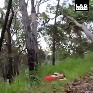 Auto KO | Me lo pasaron por Wasap