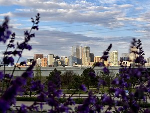 Studies rank these Denver area cities among best in US for retirement