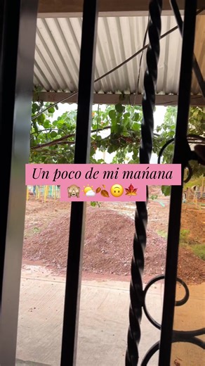 Como son mejor los videos de rutinas diarias.Con narración,con música o solo ambiente?? 🤔🌤️🍂#rutinaencasa #viraltiktok #fypシ゚ #foryou #creadoradecontenido