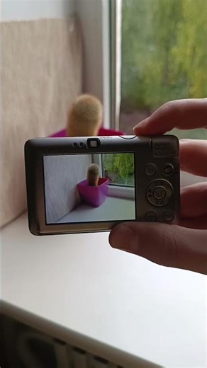 🚀Blast from the 2000s! Canon IXUS 100 IS 💥 Y2K Digicam Shorts