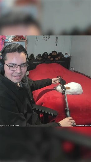 9GAG: Go Fun The World on Instagram: "When Minecraft ghasts sleeps 📹 @chimparoncito - #cat #9gag"