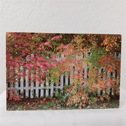 Vermont Fall Colors Photography Print Vintage New England Postcard - Etsy