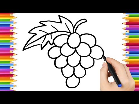 How To Draw cute grapes Drawing, Painting & Coloring For Kids and Toddlers_ Child Art 🐋🌈🎨
