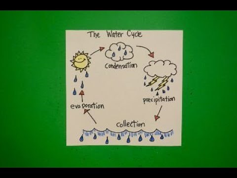 Let's Draw the Water Cycle!