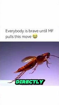 When a cockroach starts flying. #cockroach
