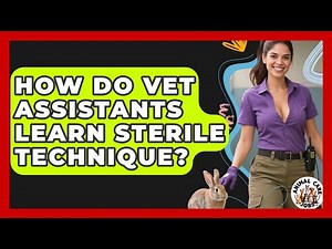 How Do Vet Assistants Learn Sterile Technique? - Animal Care Jobs