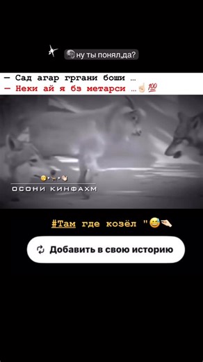AMRIDDINJANETS 🙂‍↔️ on Instagram: "— Гап мераса гуши карда "😅💯 Дидести медонм я❤️мон🥺#top Лᴀйᴋ❤️Мᴏн 10 Кᴀʍᴇнᴛ нᴀʙиᴄ 50 Нᴀɸᴀᴩдᴀ ᴩᴏи ᴋн Я иᴄᴛᴏᴩия ʍᴇᴋнʍ. Кᴀᴄᴇ ᴀй хᴀʍᴀ ᴋᴀʍᴇнᴛи биᴄёᴩ ʍᴇнᴀʙиᴄᴀ я ʙидиᴏ ʍᴇᴄᴏɜʍɯᴀ Ⲙⲁⲕⲥυⲙⲩⲙ ⲁⲕⲧυⲃⲁ. ———————— Ⲥⲧⲁⲃυⲙ ❤️ Ⲕⲟⲙⲙⲉⲏⲧυⲣⲩⲉⲙ ✍️ Ⲡⲟⲇⲡυⲥⲕⲩ 👉🏻 @riwaki.05 🍂 _ #жизнь #ногти #ногти2023 #ногтидизаи‌н #розовыеногти #ногтигельлак #новости #дизаи‌нногтеи‌ #слоеноетесто #мкногти #ногтики #ногти2023 #нокти #ногтилук #летниеногти #новогодниеногти #ноготки #градиентнаногтях #