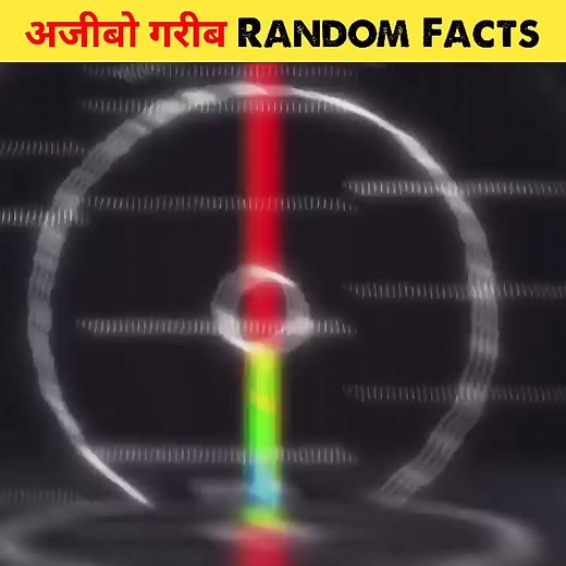 Top 10 Most interesting facts in hindi amazing facts random facts in hindi #shorts #facts #reelsinstagram #shortsviral #viralshort #viralhotvideo #factsinhindi #youtubeshorts #lifehack #viral #experiment # | FacT Bhai